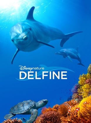  Delfine