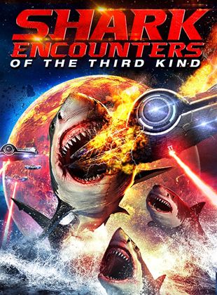 Shark Encounters Of The Third Kind