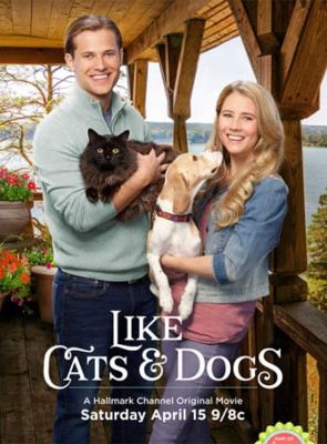 Filmposter von Zwei wie Hund und Katz'