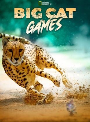 Big Cat Games