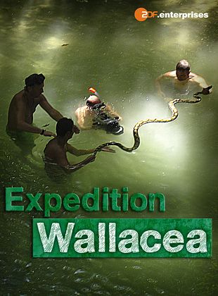 Filmposter von Wallacea - Expedition zur Wiege der Meeresfauna