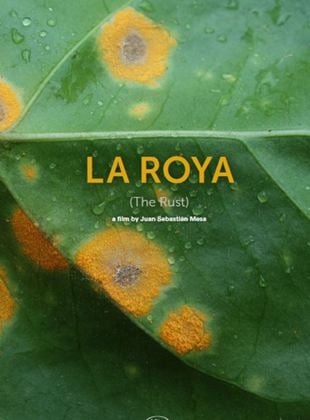 La Roya