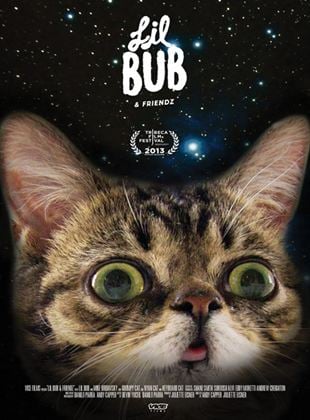  Lil Bub & Friendz