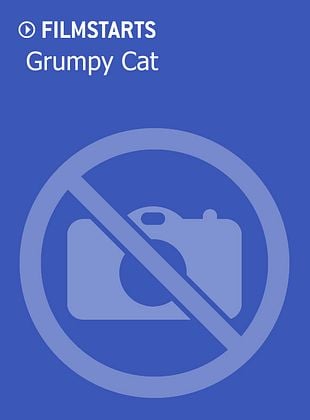 Grumpy Cat