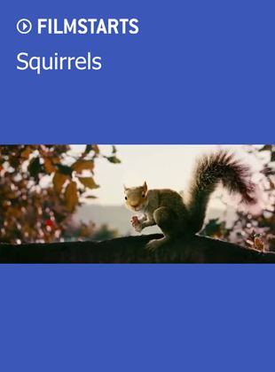  Squirrels