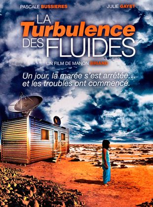 La Turbulence des fluides