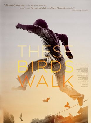  These Birds Walk
