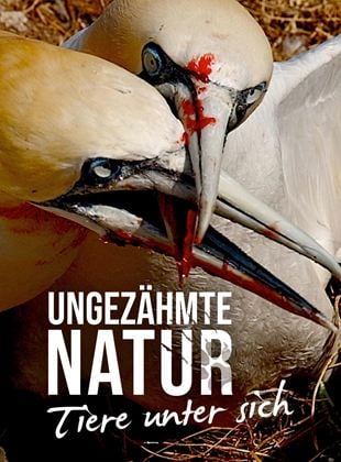 Ungezähmte Natur - Tiere unter sich