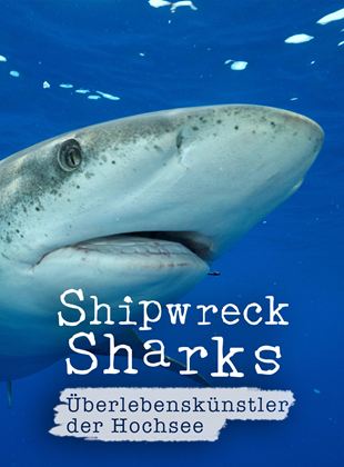 Shipwreck Sharks - Überlebenskünstler der Hochsee