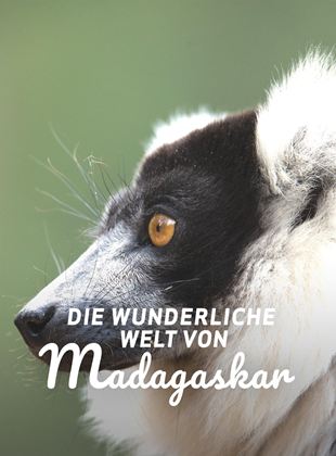 Die wunderliche Welt von Madagaskar