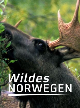 Wildes Norwegen