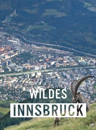 Wildes Innsbruck