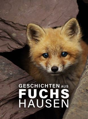 Geschichten aus Fuchshausen