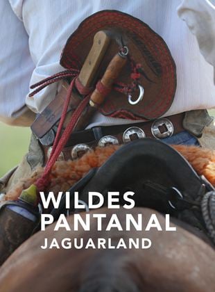 Wildes Pantanal - Jaguarland