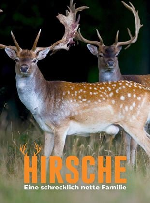 Hirsche - Eine schrecklich nette Familie