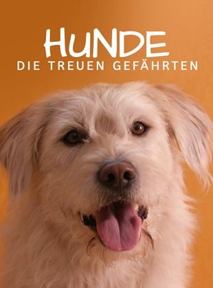 Hunde - Die treuen Gefährten