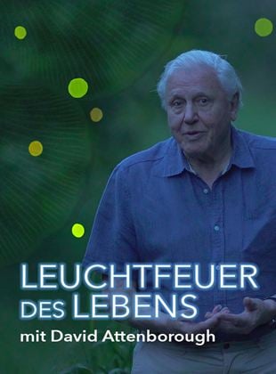 Leuchtfeuer des Lebens