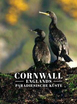 Cornwall - Englands paradiesische Küste