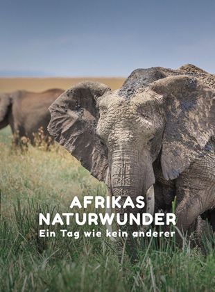 Afrikas Naturwunder - Ein Tag wie kein anderer