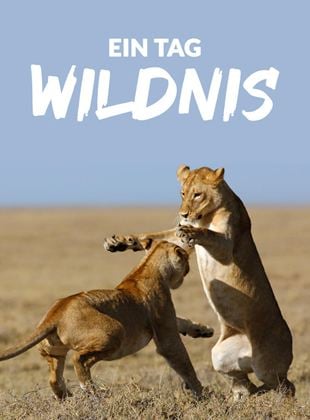 Ein Tag Wildnis