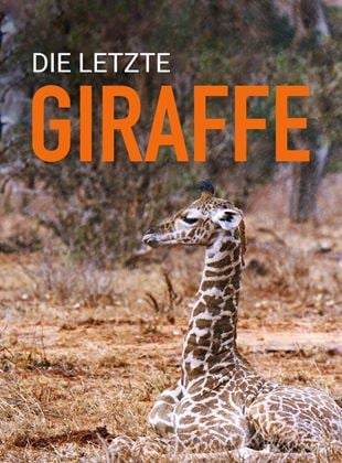 Die letzte Giraffe