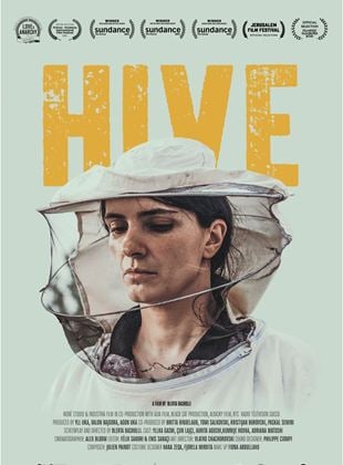  Hive