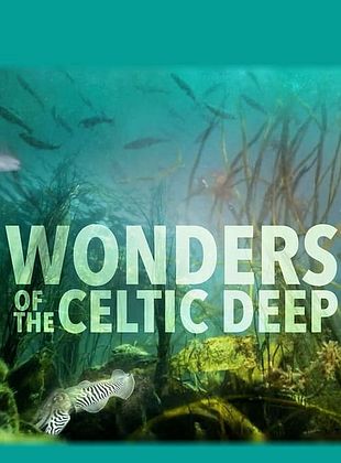 Poster der Serie Wunder der Keltischen See