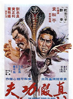 Filmposter von Kung Fu Man