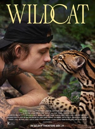  Wildcat