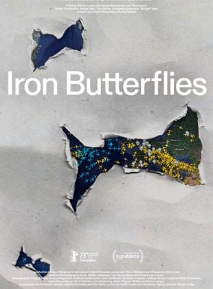  Iron Butterflies