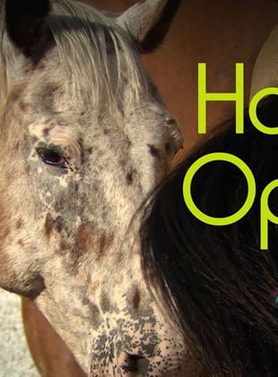 Horse Opera