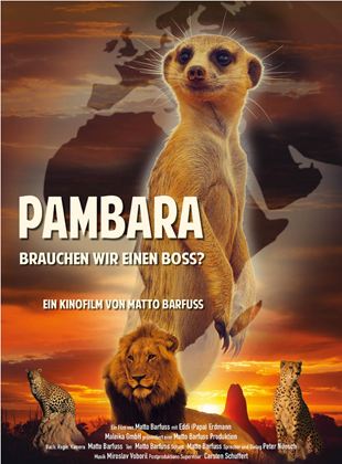  Pambara - Brauchen wir einen Boss