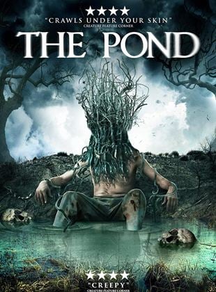  The Pond