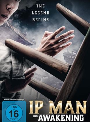  Ip Man: The Awakening