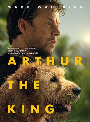 Mark Wahlberg and a dog go on an adventure of more than 700 kilometers: first trailer for “Arthur The King” Mark Wahlberg and a dog go on an adventure of more than 700 kilometers: first trailer for “Arthur The King”