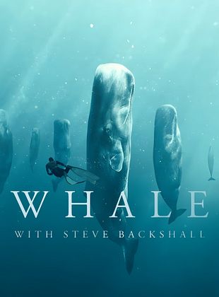 Poster der Serie Wale mit Steve Backshall