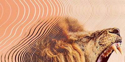 Poster der Serie Hunters and Hunted