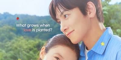 Poster der Serie 