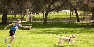 Poster der Serie Victors zweite Familie