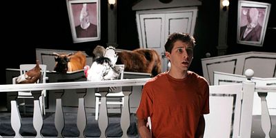 Poster der Serie Das tierische Gericht