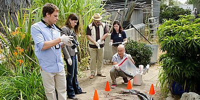 Poster der Serie Die Reiter der Apokalypse