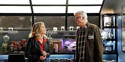 Poster der Serie Stealing Home