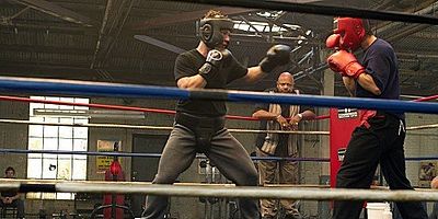 Poster der Serie The Bittersweet Science