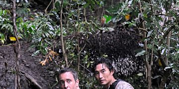 Poster der Serie Hart am Wind