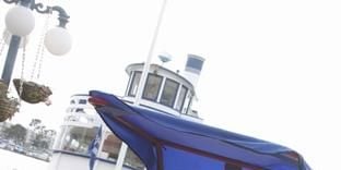 Poster der Serie Die Zitronenhain-Investition