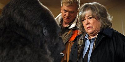 Poster der Serie Gorilla My Dreams