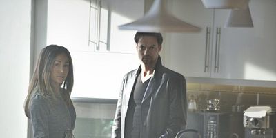 Poster der Serie Fair Trade