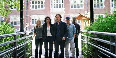 Poster der Serie The Experimental Job