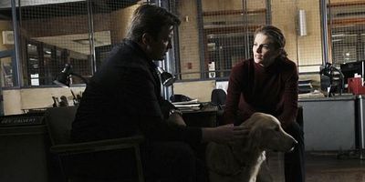 Poster der Serie An Embarrassment of Bitches