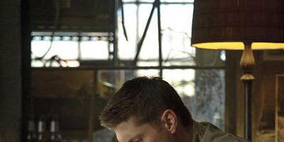 Poster der Serie The Born-Again Identity